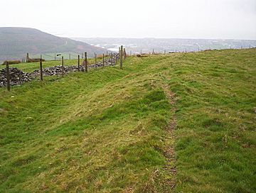 Buarth y Gaer Iron Age Hill Fort - geograph.org.uk - 95125.jpg