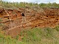 Buckanay Farm Pit, Alderton 2