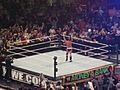 CM Punk as WWE Champion