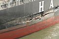 COSCO Busan damage 2007