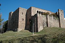 Castell de Vallparadís