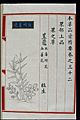 Chinese Materia Medica illustration, Ming; Cardamom of Yizhou Wellcome L0039306