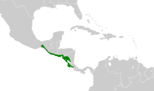 Chiroxiphia linearis map.svg