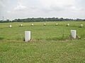 Circular structures at Poverty Point IMG 7433