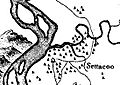 Citico-timberlake-detail1