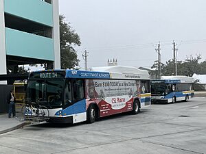 Coast Transit Authority buses