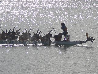 Dragon boats racing at 2008 SFIDBF 02