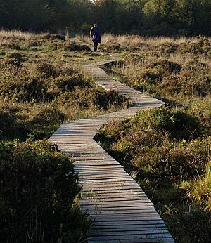 Duckboard walk, South Tawton Footpath 46 - geograph.org.uk - 996804