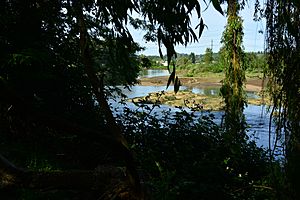 Duwamish River - North Wind's Weir from Cecil Moses Memorial Park 01
