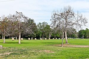El Dorado Regional Pk Archery Range