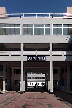 Faculty of Fisheries, CVASU