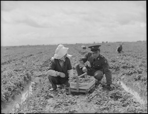 Florin, Sacramento County, California. A soldier and his mother in a strawberry field. The soldier . . . - NARA - 536475