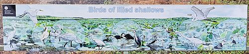 Fogg Dam signs - Birds of the Lilied Shallows (01)