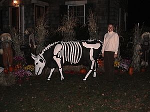 Gladys the Swiss Dairy Cow as a Skeleton