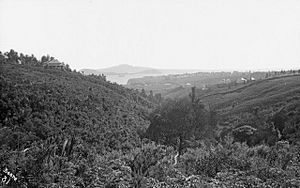 Grafton Gully As Existing In 1863
