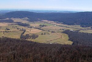 Grassy-cove-brady-mtn-tn1