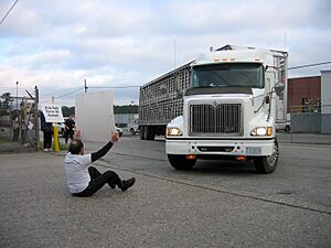 Hershaft blocking a truck