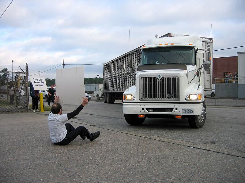 Hershaft blocking a truck