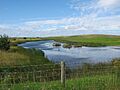 Holme Crook at Cowpen Marsh - geograph.org.uk - 2579508