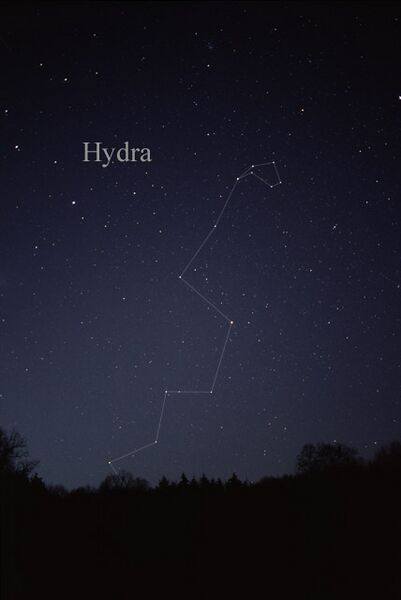 HydraCC