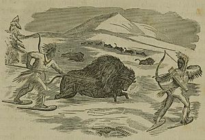 Indians Hunting Buffalo in the Winter