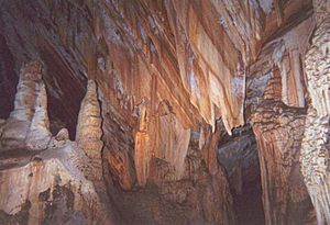 Jenolan caves in nsw image