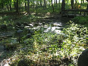 Kendall County Il Silver Springs State Fish and Wildlife Area9.JPG