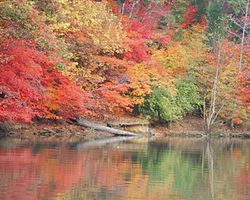 Lake Wylie in autumn