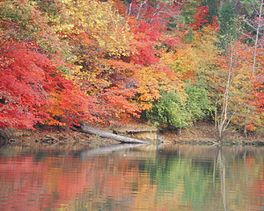 Lake Wylie in autumn.jpg