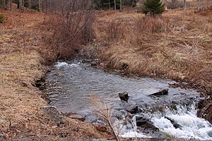 Laurel Run (Huntington Creek) looking upstream