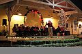 Lighting Of the Old Village Performers