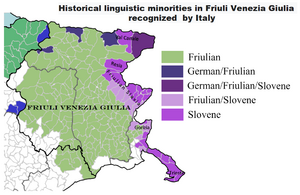 Linguistic minorities in FVG