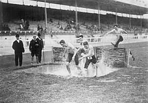 London 1908 Steeplechase