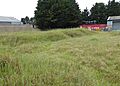 London Road Industrial Estate SSSI 1
