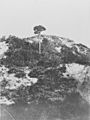 Lone Pine - Gallipoli.b