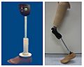 Low cost prosthetic limbs