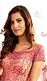 Manasvi Mamgai at Filmfare South Awards 2014