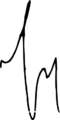 Merabishvili signature (vect)