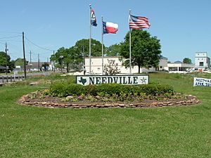 Needville TX sign.JPG
