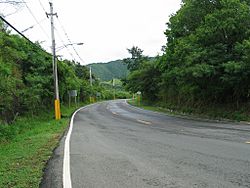 A section of rural Barrio Cerrillos along PR-139 heading northbound