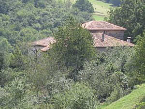 Palacio de Díaz Inguanzo - 5