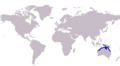 Pantolabus radiatus distribution