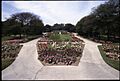 Park of Roses 1992 10