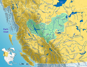 Peace River Watershed.png