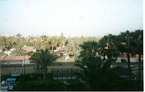 Playa del ingles hotel view