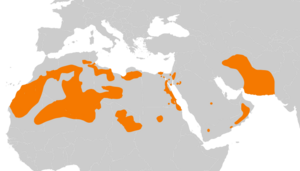 Pterocles coronatus repartition.svg