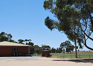 RandFootballGround