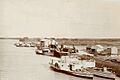 River steamers, Murray Bridge, 1894 (4539666336)