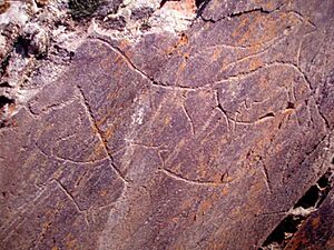 Rock Art Foz Coa 01