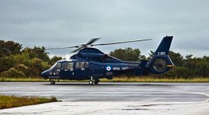Royal Navy Aerospatiale Dauphin II, Plymouth, Sept. 2010 - Flickr - PhillipC.jpg